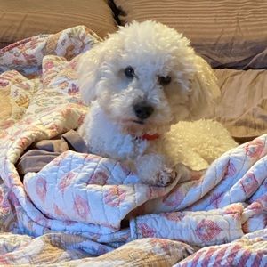 Meet your Posher, Anna